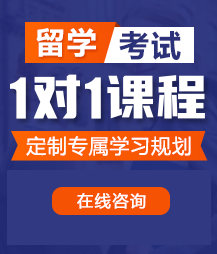 大鸡吧草b高潮流水视频留学考试一对一精品课